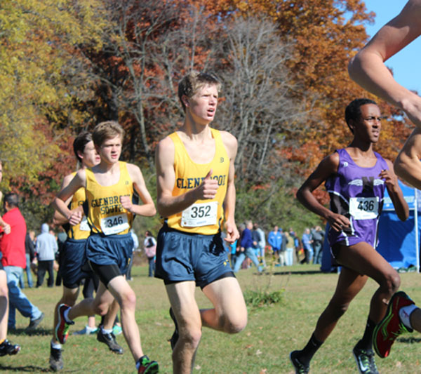 XC stumbles in Sectional meet