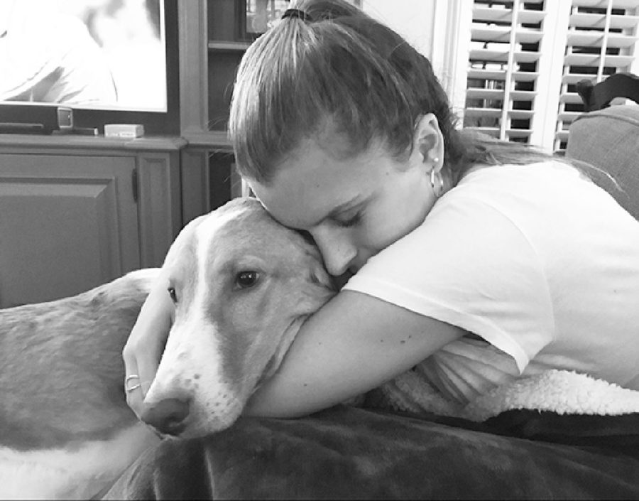 CAROLINE TO THE RESCUE: Laying on her couch, Sophomore Caroline O’Shaughnessy embraces her rescue dog, Dakota, whom her and her family adopted three years ago. O’Shaughnessy encourages families to consider adopting rescue animals instead of buying from designer breeders. Photo courtesy of Caroline O’Shaughnessy