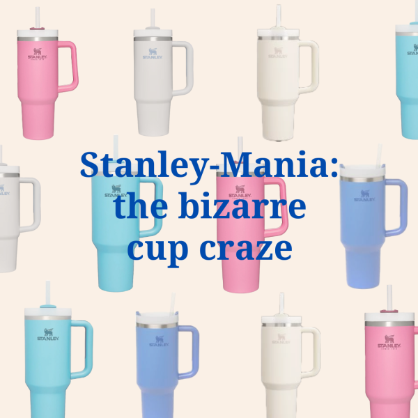 Stanley-Mania: the bizarre cup craze