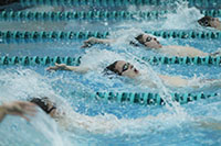 BOYS ARE BACK: Going into the wall on his third length for a turn, senior Peter Dales swims his 100 yard backstroke with a time of 59.65 seconds on Dec. 11. Dales placed fifth behind other GBS swimmers, sophomore Nick Shechtman and junior Thomas Kosack, who placed third and fourth. The Titans beat the Spartans 102-84 and won the Spartan Invite on Dec. 12.
