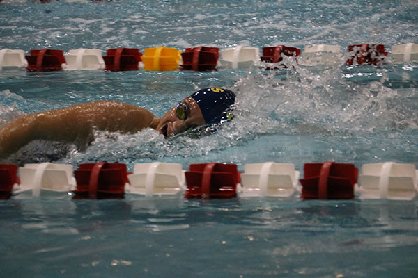 Fast    freestyle:  Taking a breath during the race, sophomore Nikki Dontcheva swims a freestyle stroke against Niles West on Oct. 21. The Titans defeated the Wolves by a score of 121-65. The next time the girls hit the pool will be Nov. 5. for their Conference meet
