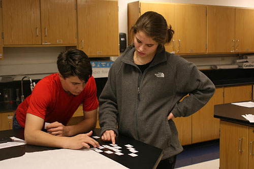 While working in their biology class, Mike Hatfield and Abby Coleman perform a lab.  Along with others, these S.T.E.M. juniors students took part in the project Cancer for the Common Good which shed new light on how to cure different diseases with cancer cells.  