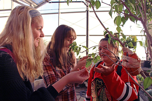 LADIES AND LEAVES: Examining a plant in the greenhouse, seniors Riley Gunderson, Victoria Fedorko and Tess Flores work to aid the plant in its growth. Gunderson, Fedorko and Flores are members of the GBS Horticulture team which competed in the National Future Farmers of America (FFA) Convention and Expo, with sophomore Laura Schonken earning a silver medal in nursery landscape and the overall team winning a bronze medal.