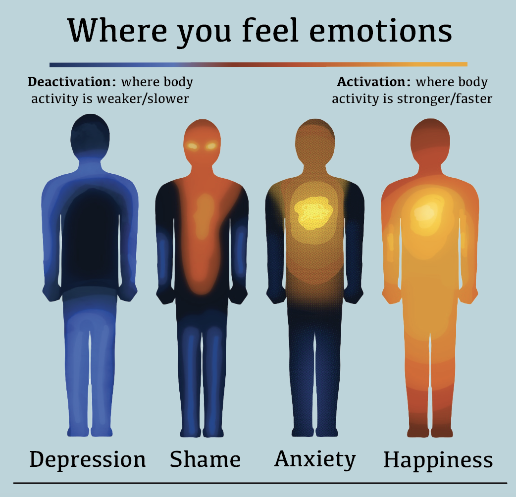 Embrace your emotions