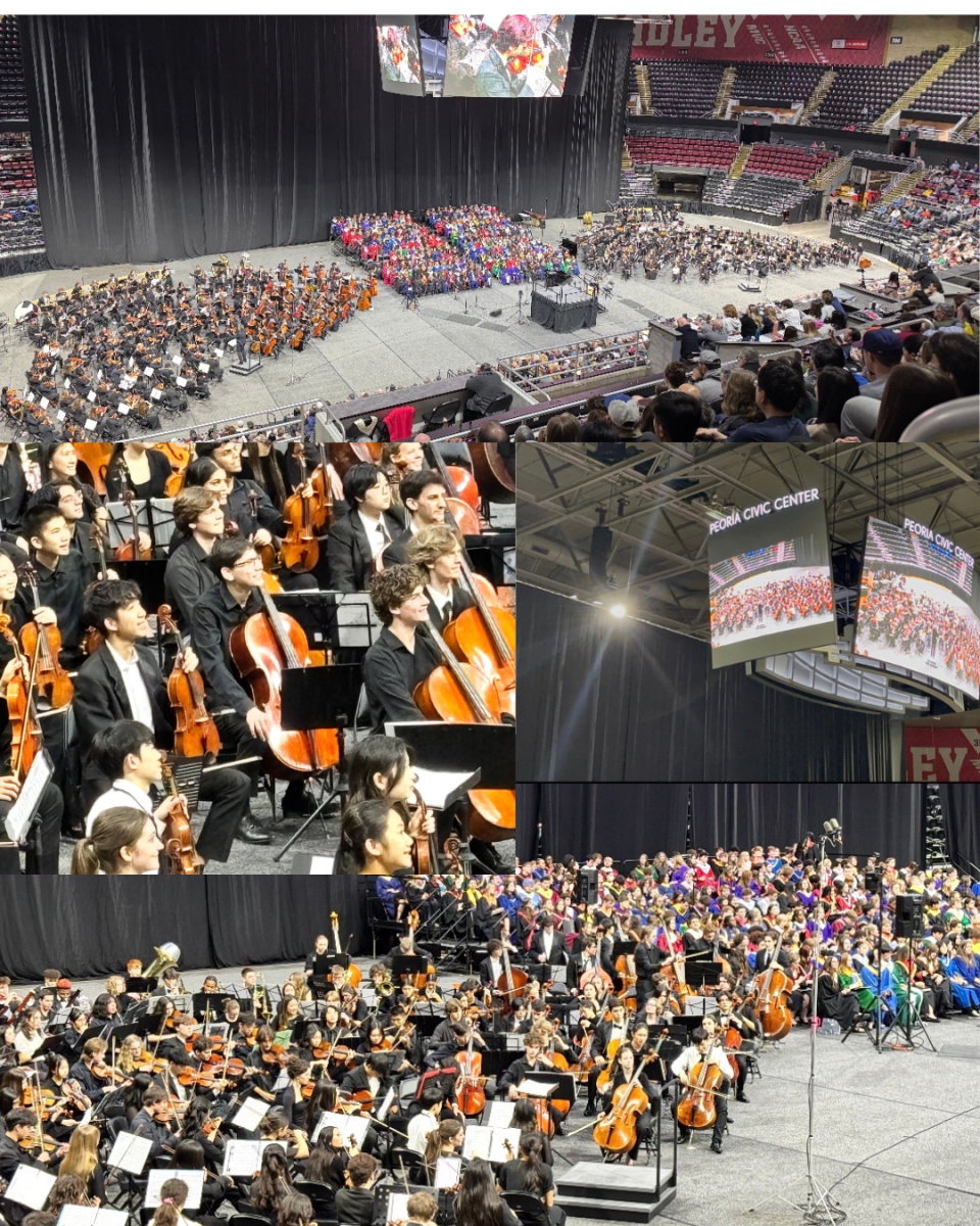 Photo illustration by Phoebe Mann