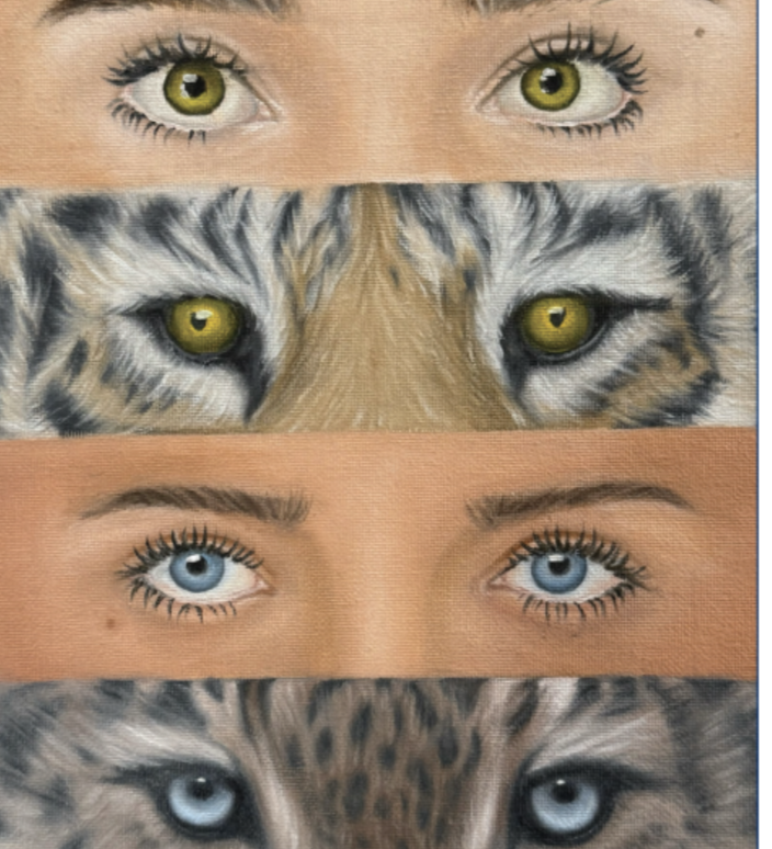 Nominees selected for Illinois High School Art Exhibition