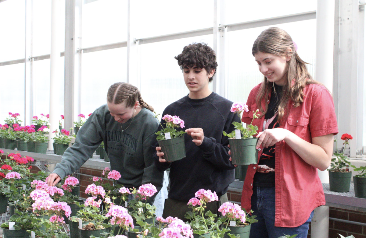 Horticulture team in bloom